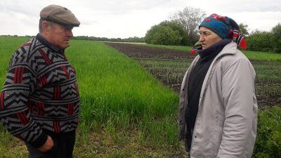 "Через посадку їх видно". Як живуть і працюють люди у селі біля кордону з Росією