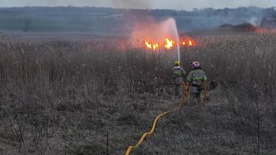Згоріло понад 4 гектари трави. На Буковині за день 16 разів горіла суха трава Згоріло понад 4 гектари трави. На Буковині за день 16 разів горіла суха трава