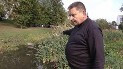 У хмельницькій водоймі зафіксували мор риби. Ймовірна причина — скидання нечистот У хмельницькій водоймі зафіксували мор риби. Ймовірна причина — скидання нечистот