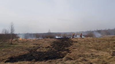 За добу на Волині горіло 5 гектарів сухої трави За добу на Волині горіло 5 гектарів сухої трави