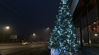 Без головної ялинки. Як виглядають новорічні дерева у районах Дніпра та області Без головної ялинки. Як виглядають новорічні дерева у районах Дніпра та області