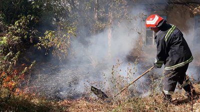 Сінник, кукурудза і очерет: на Черкащині за добу ліквідували 16 пожеж Сінник, кукурудза і очерет: на Черкащині за добу ліквідували 16 пожеж