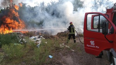 На Дніпропетровщині в природних екосистемах виникла 71 пожежа на загальній площі 72 га