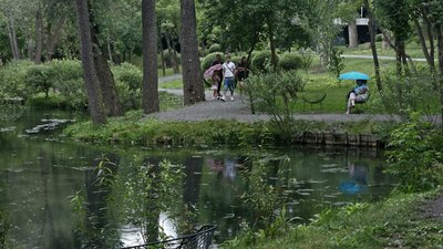 дощ, харків, погода