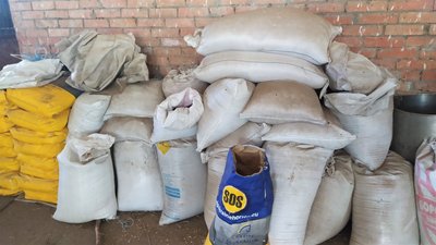 Рятували під обстрілами: як живуть евакуйовані тварини з Дергачівської кінно-спортивної школи Рятували під обстрілами: як живуть евакуйовані тварини з Дергачівської кінно-спортивної школи