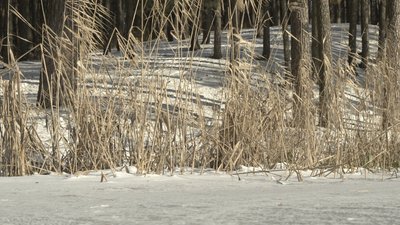Як не провалитися під лід. Розповідає чернігівський рибалка
