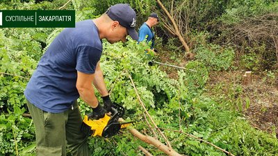 Територію Королевського замку прибрали 50 волонтерів Територію Королевського замку прибрали 50 волонтерів