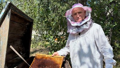Житомир, Малин, пасічник, мед, бджоли