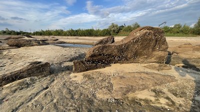 Місяць після підриву Каховської ГЕС: стан водойм Кушугумської громади на Запоріжжі – фоторепортаж