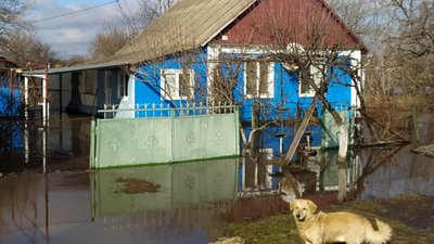 Через танення снігу та дощі на Миколаївщині підтопило будинки і двори