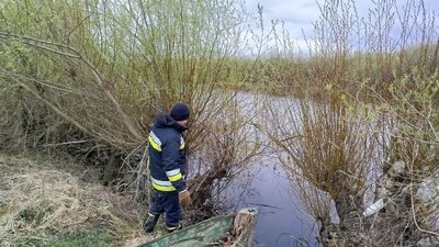Пошуки 5-річного хлопчика у селі Колки на Рівненщині, 8 квітня 2026 року