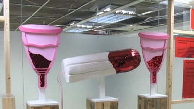 У Лондоні знову відкриють Музей вагіни — понад 2 500 людей пожертвувало кошти, щоб допомогти закладу