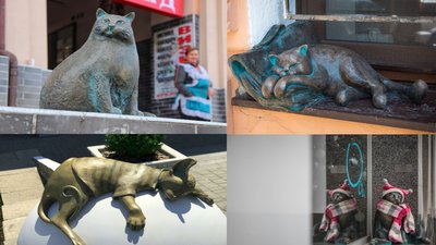"Котячий" маршрут в Одесі "Котячий" маршрут в Одесі