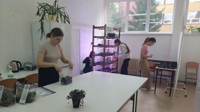 Учні ужгородського ліцею вирощують мікрозелень Учні ужгородського ліцею вирощують мікрозелень