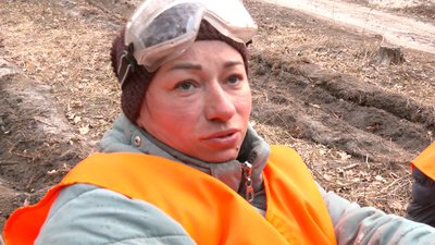 Лісівники Черкащини засадили триста гектарів лісу Лісівники Черкащини засадили триста гектарів лісу
