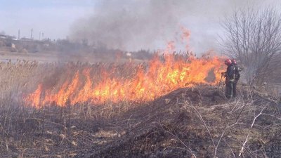 За добу на Прикарпатті зафіксували 41 пожежу сухої трави За добу на Прикарпатті зафіксували 41 пожежу сухої трави