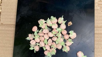 Троє людей підозрюються у збуті психотропів на Миколаївщині Троє людей підозрюються у збуті психотропів на Миколаївщині