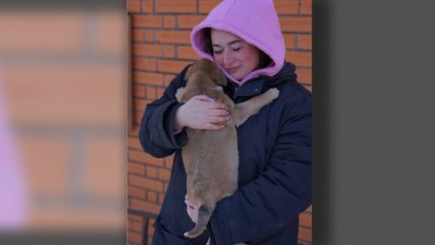 Cумська волонтерка Катерина Андрєєва евакуює тварин із прикордоння