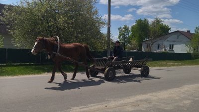 7 км через болота – і Білорусь: як живе Погулянка у прикордонні Волині 7 км через болота – і Білорусь: як живе Погулянка у прикордонні Волині