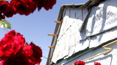 Зруйнована хата і квіти