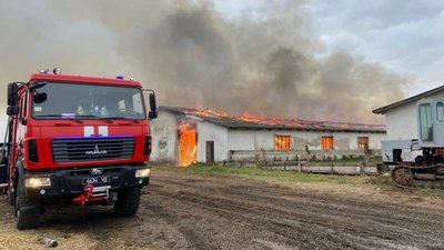 На Тернопільщині горіло приміщення тваринної ферми