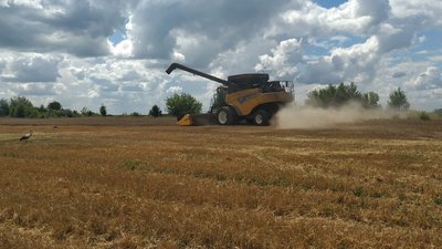 Аграрії на Волині завершують жнива та починають копати картоплю Аграрії на Волині завершують жнива та починають копати картоплю