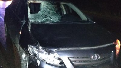 ДТП на Рівненщині: у поліції повідомили про двох загиблих ДТП на Рівненщині: у поліції повідомили про двох загиблих