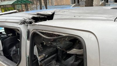 Проліска Донецька область