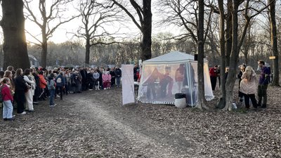 У полтавському парку випустили 600 кажанів