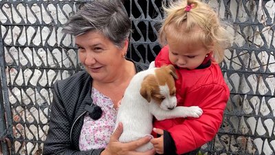 "Ми прийшли взяти собі друга": до Прилук привезли врятованих собак та котів із підтоплених територій Херсонщини