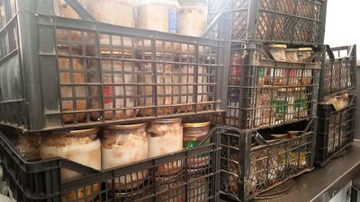 В Ужгороді за два дні для військових приготували 300 півлітрових банок з тушкованим м’ясом