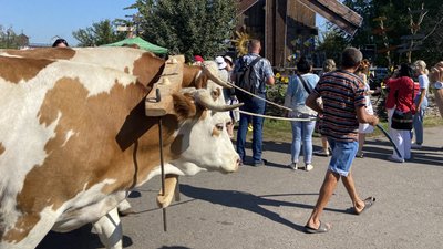 На Полтавщині розпочався Сорочинський ярмарок На Полтавщині розпочався Сорочинський ярмарок