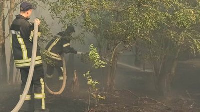 На Херсонщині продовжує горіти сухостій: за добу 9 пожеж На Херсонщині продовжує горіти сухостій: за добу 9 пожеж
