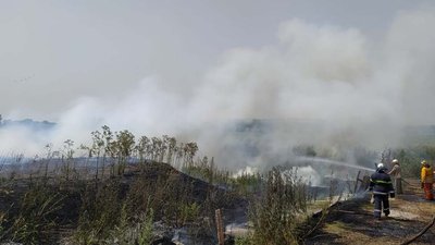 На Дніпропетровщині пожежа в екосистемі: вигоріло 3 гектари сухої трави й очерету На Дніпропетровщині пожежа в екосистемі: вигоріло 3 гектари сухої трави й очерету