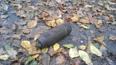 Сапери знищили боєприпаси, які волиняни знайшли на городі та в лісі Сапери знищили боєприпаси, які волиняни знайшли на городі та в лісі