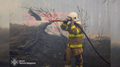 Вогнеборець гасить пожежу у Чернігівському районі на Чернігівщині, 350 га