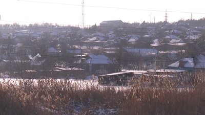 Нові випадки пташиного грипу зафіксовані на Миколаївщині