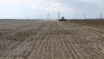 На Хмельниччині ярими культурами засіяли 300 тисяч гектарів