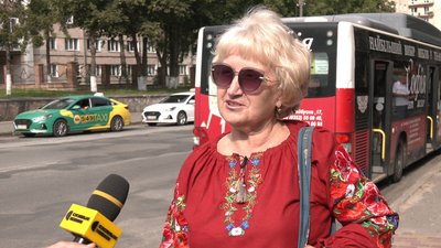 Жінка у вишиванці Жінка у вишиванці