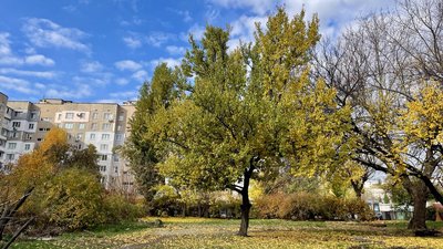 Погода у Черкасах 31 жовтня