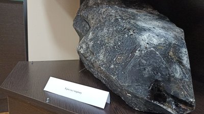 Жив сорок мільйонів років тому – скелет динозавра вперше експонується в краєзнавчому музеї Житомира