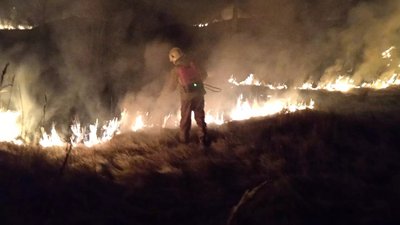 Пожежі сухої рослинності: що треба знати жителям Полтавщини Пожежі сухої рослинності: що треба знати жителям Полтавщини