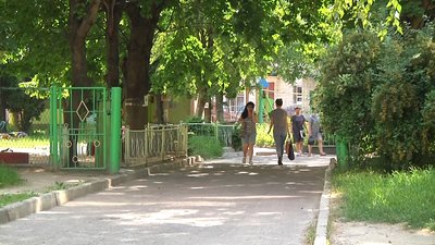 У Житомирі розростається борщівник