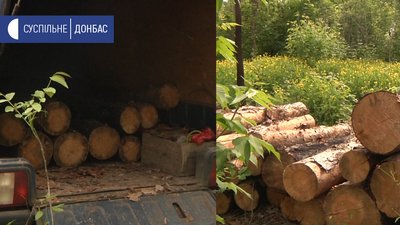У Слов'янську затримали чоловіка, який крав зрубаний ліс