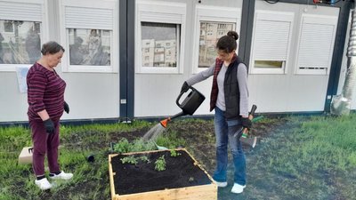 Грядка у модульному містечку