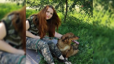 Хто відповідальний за безпритульних тварин у Запоріжжі Хто відповідальний за безпритульних тварин у Запоріжжі