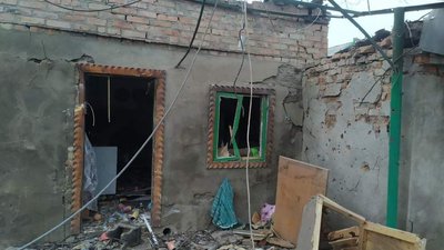 15 котиків з прифоронтового Оріхова нині мешкають в Німеччині 15 котиків з прифоронтового Оріхова нині мешкають в Німеччині
