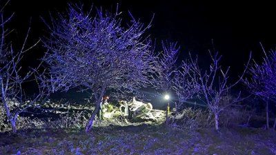 Двоє людей загинули, двоє травмувалися: наслідки ДТП на Тернопільщині Двоє людей загинули, двоє травмувалися: наслідки ДТП на Тернопільщині