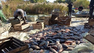 Понад 700 кг риби наловили браконьєри у Нацпарку "Нижньодніпровський" на Херсонщині