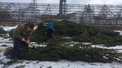 зоопарк зоопарк
